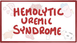 A patient with uremic syndrome has the potential to develop complications. Which among the following complications should the nurse anticipates: